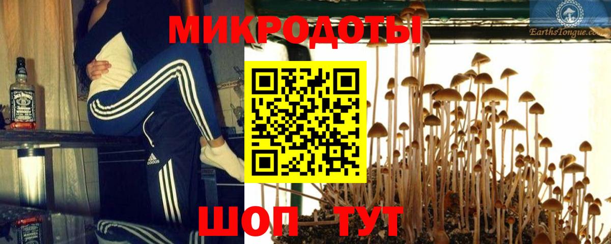 купить наркоту  Галлюциногенные грибы мицелий  Вход с VPN  Моздок 