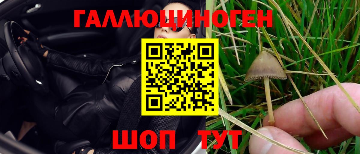 Галлюциногенные грибы мицелий Моздок